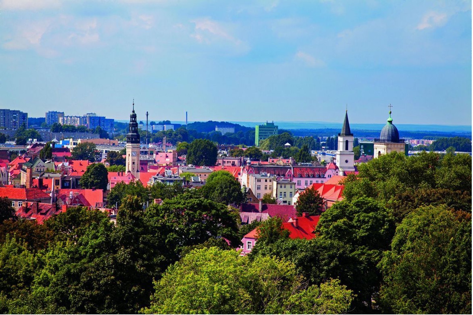 Jakie kursy maturalne oferuje IWK w Zielonej Górze?