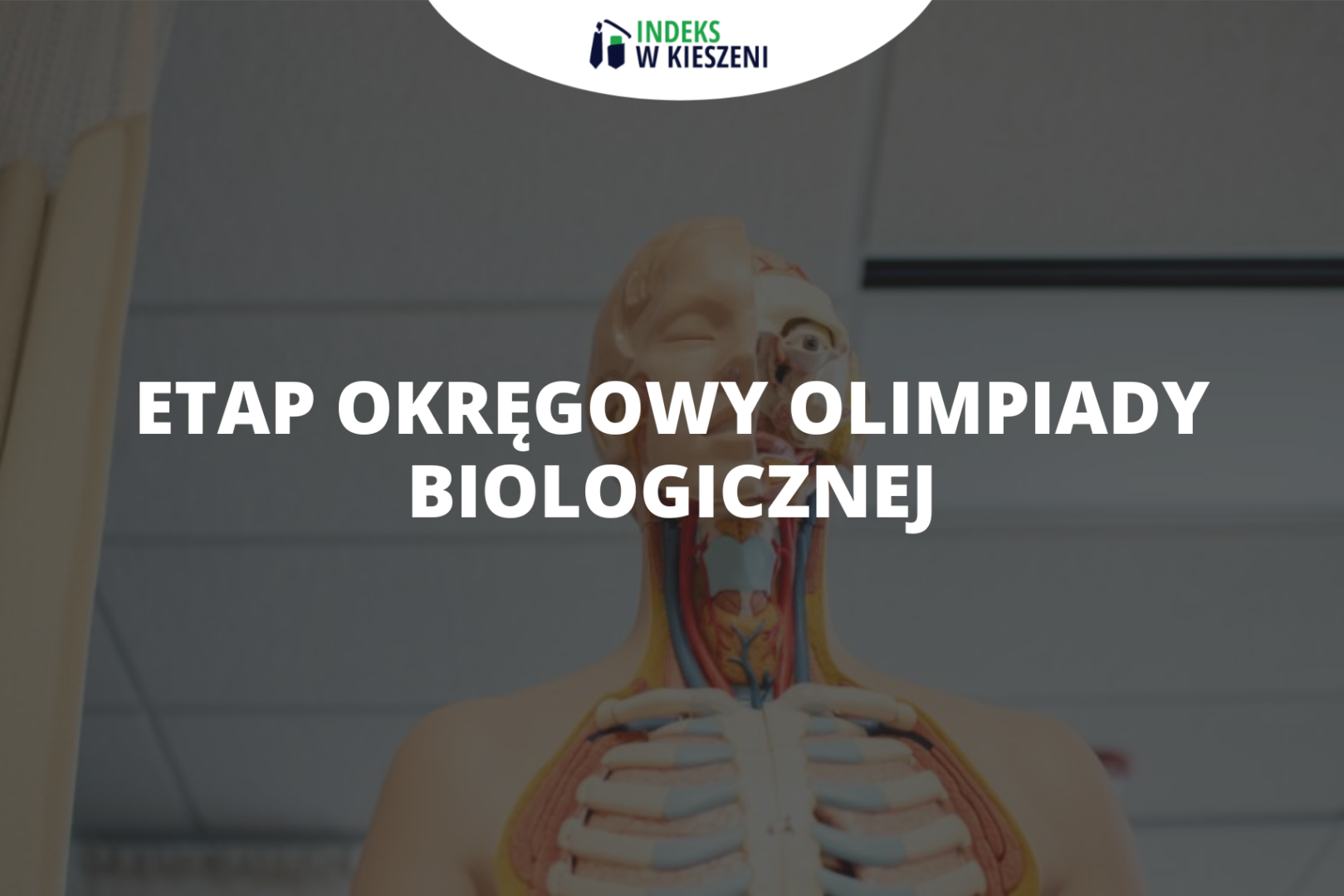 Etap okręgowy Olimpiady Biologicznej – co musisz o nim wiedzieć?