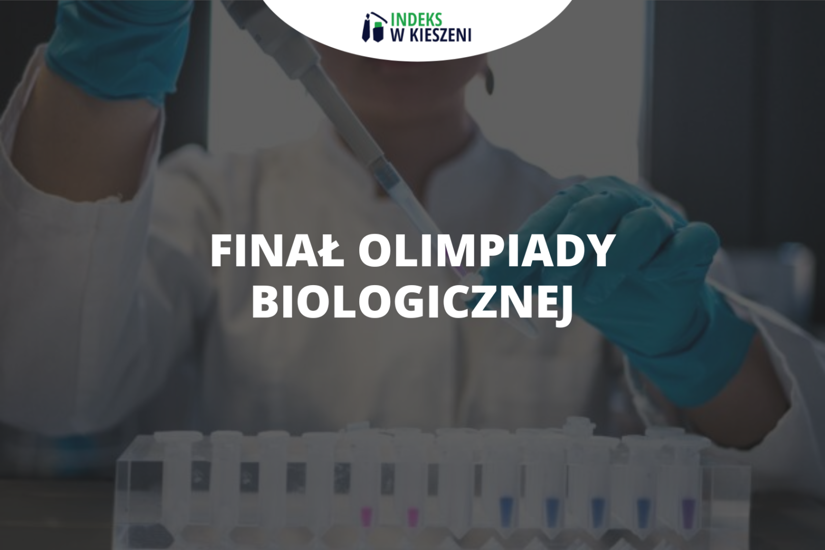 Jaki jest przebieg finału Olimpiady Biologicznej?