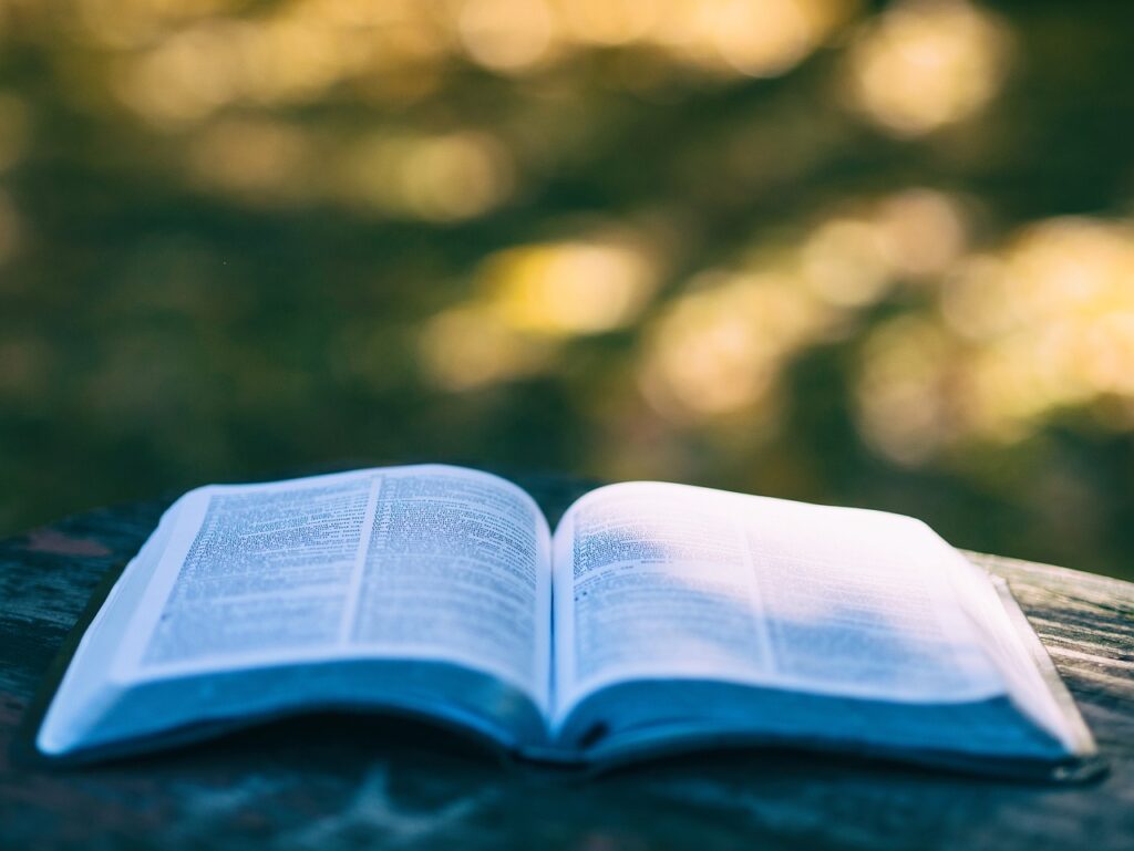 Jak przygotować się na Finał Olimpiady Literatury i Języka Polskiego dla Szkół Podstawowych?