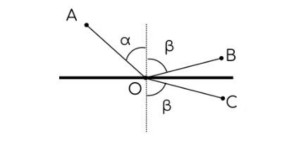 O czym mówi Zasada Fermata?