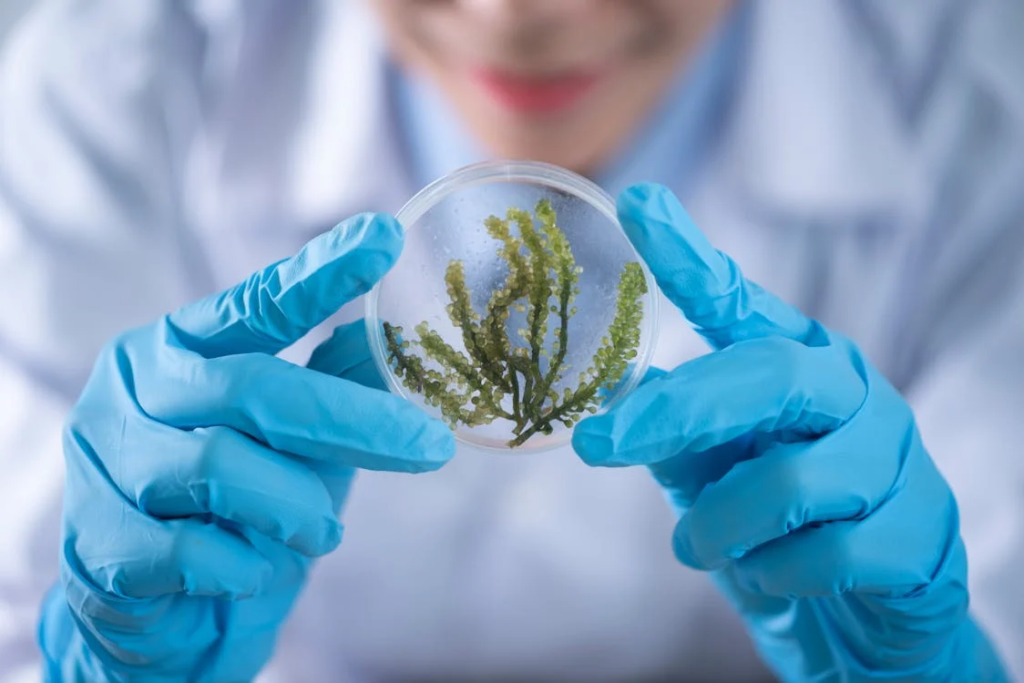 Matura 2024 z biologii - najważniejsze zagadnienia