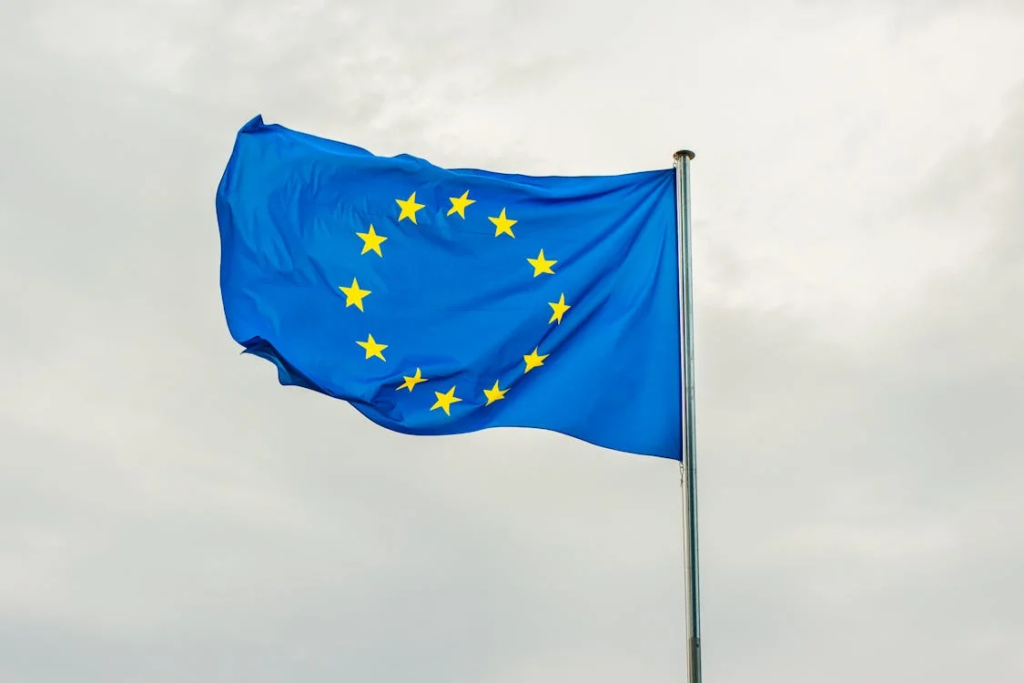 Wpływ członkostwa Polski w UE na gospodarkę na OWE