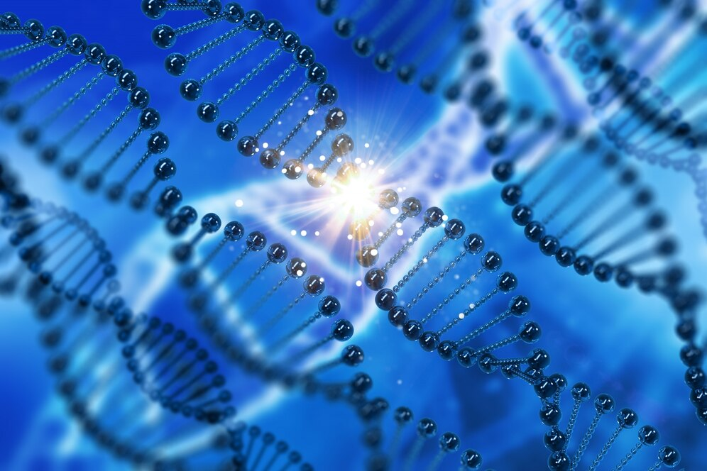 Czy będą zmiany na maturze z biologii 2025?