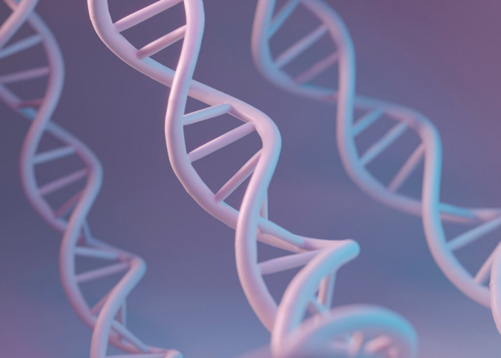 Przygotowanie do finału Olimpiady Biologicznej - o czym musisz pamiętać?